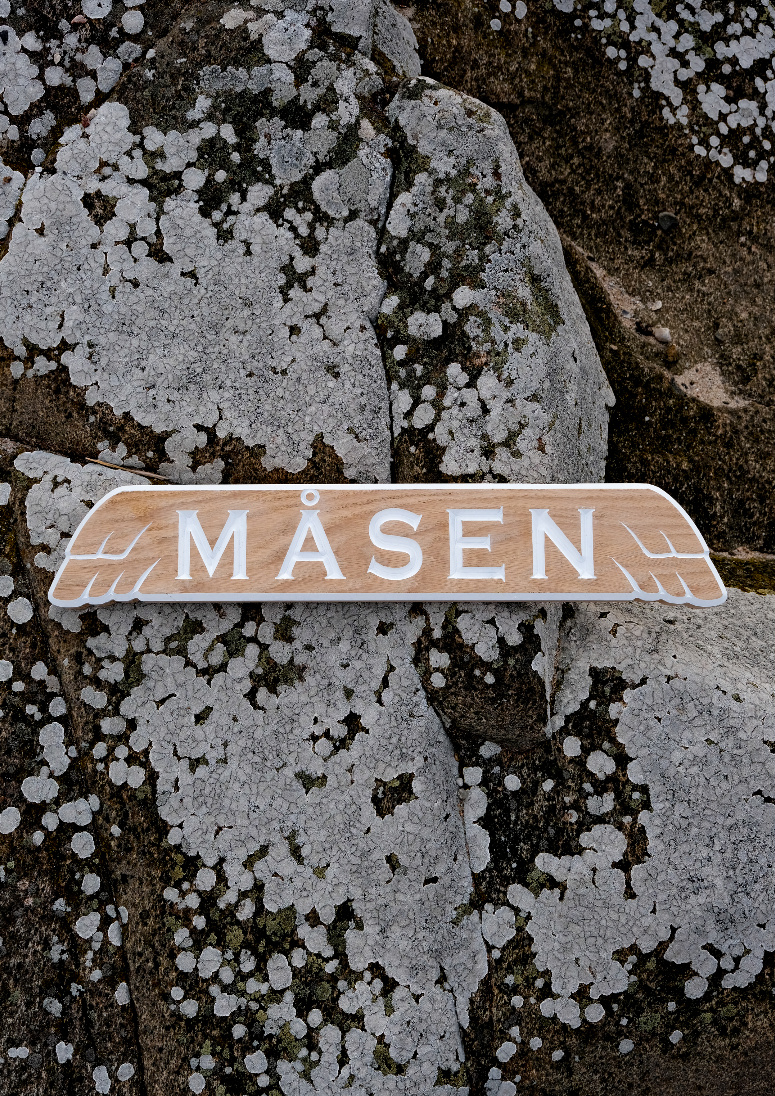 MÅSEN