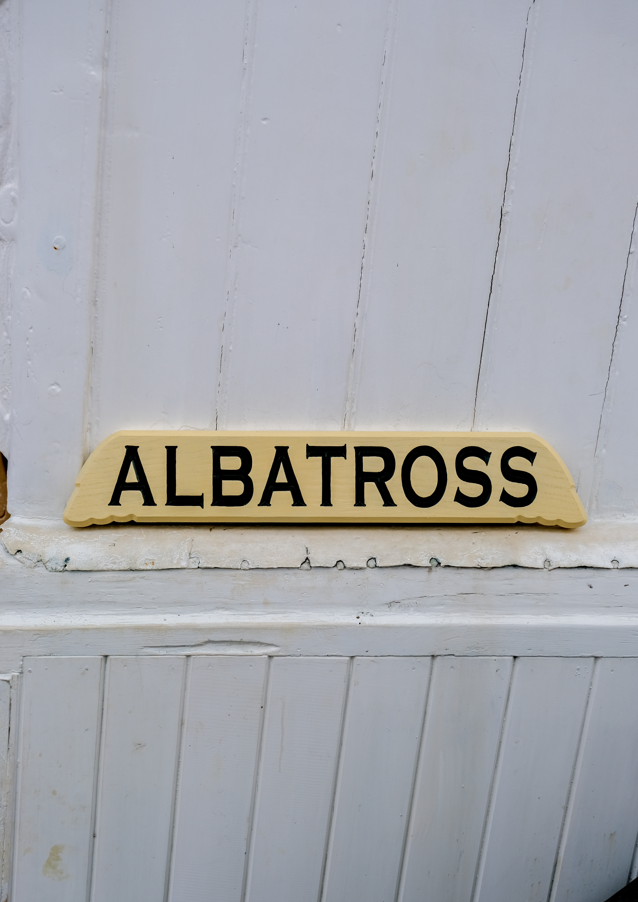 ALBATROSS